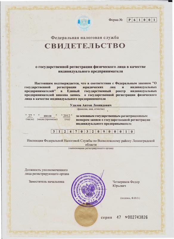 Свидетельство о регистрации (ОГРНИП)